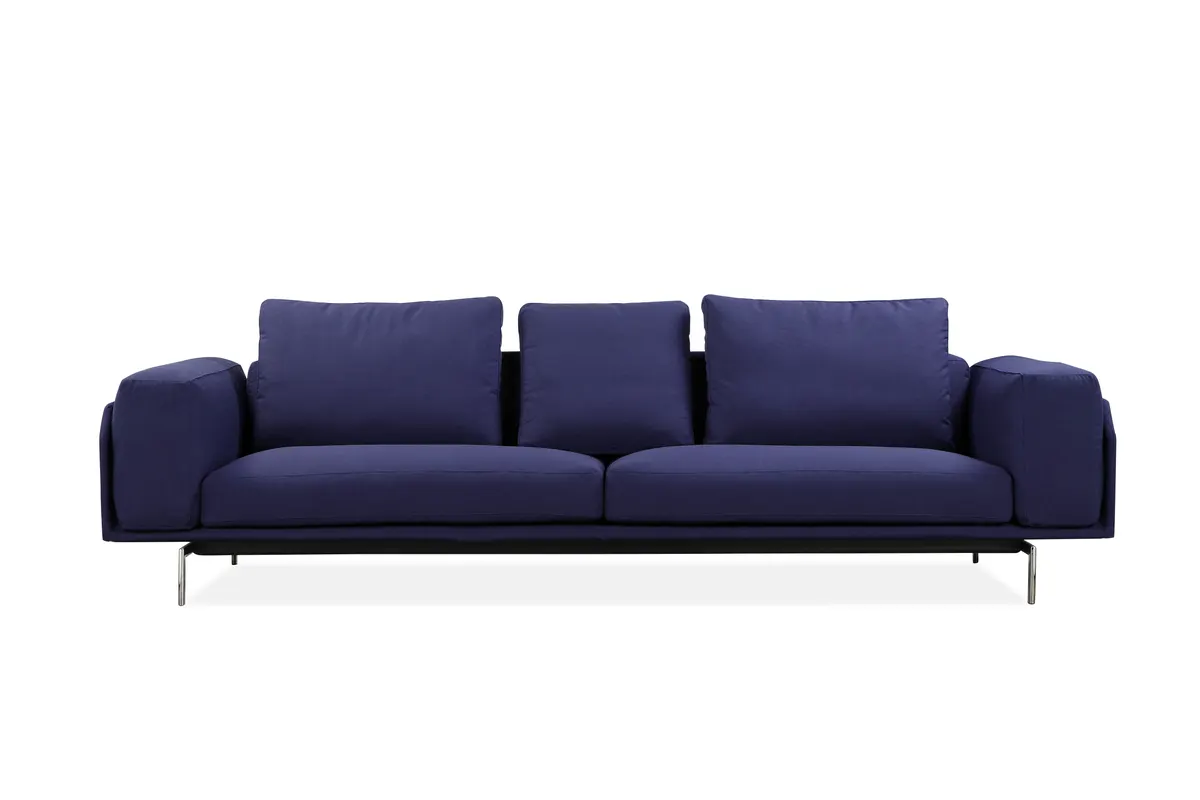 HCS217